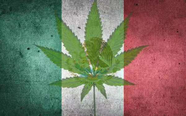 墨西哥正式通过大麻合法化，成为全球第三个大麻完全合法化的国家