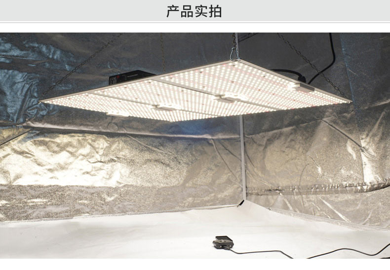 量子板植物灯 外贸出口专用生长灯插图5
