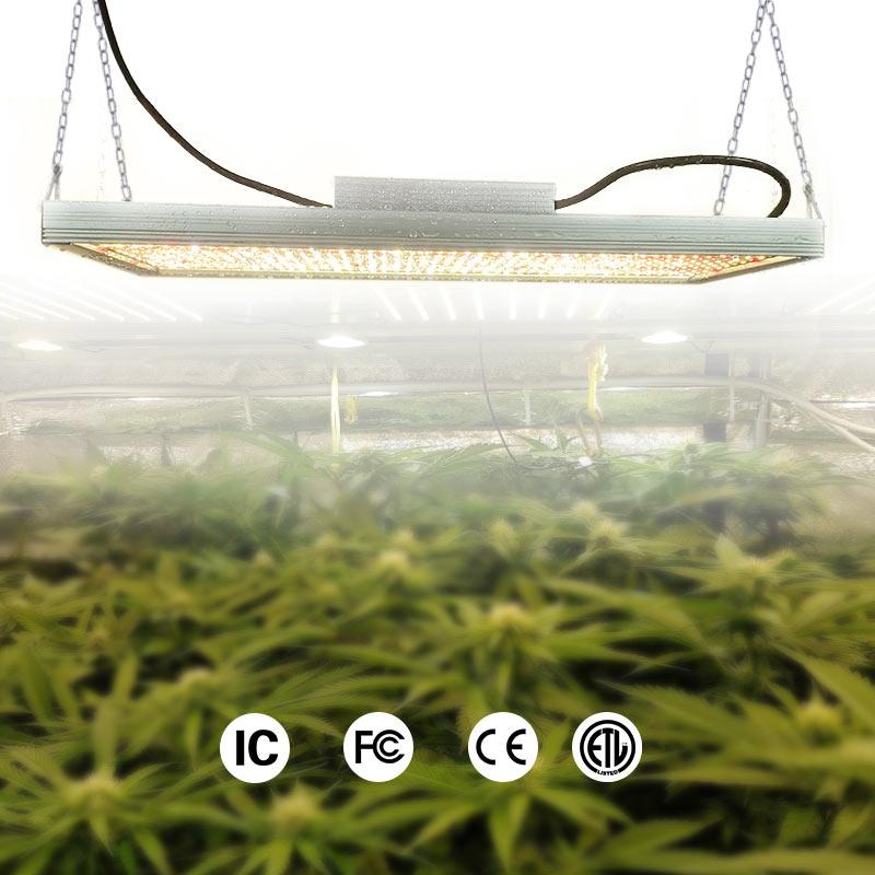 LED植物灯 温室种植灯