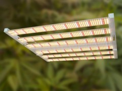 正确使用LED植物生长灯注意事项
