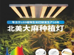发现LED植物生长灯的革命优势