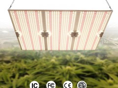 LED植物灯产业发展趋势