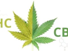 工业大麻CBD的医疗用途（上）