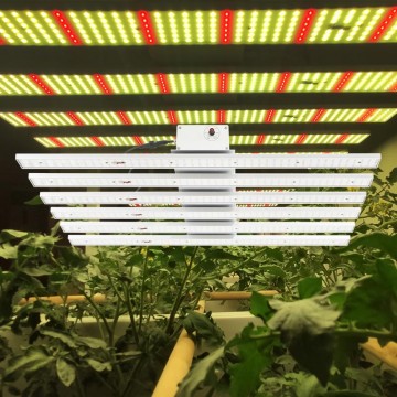 植物补光灯有效果吗?
