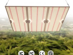 量子板植物灯 外贸出口专用生长灯