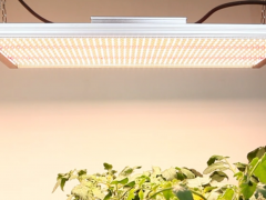 LED植物补光灯红蓝色光谱的作用有哪些？