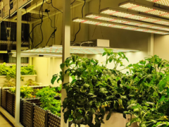 LED植物灯在使用中如何散热？