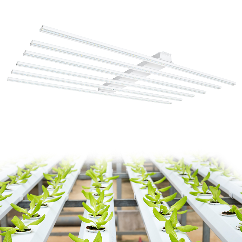 组培育苗led植物补光灯
