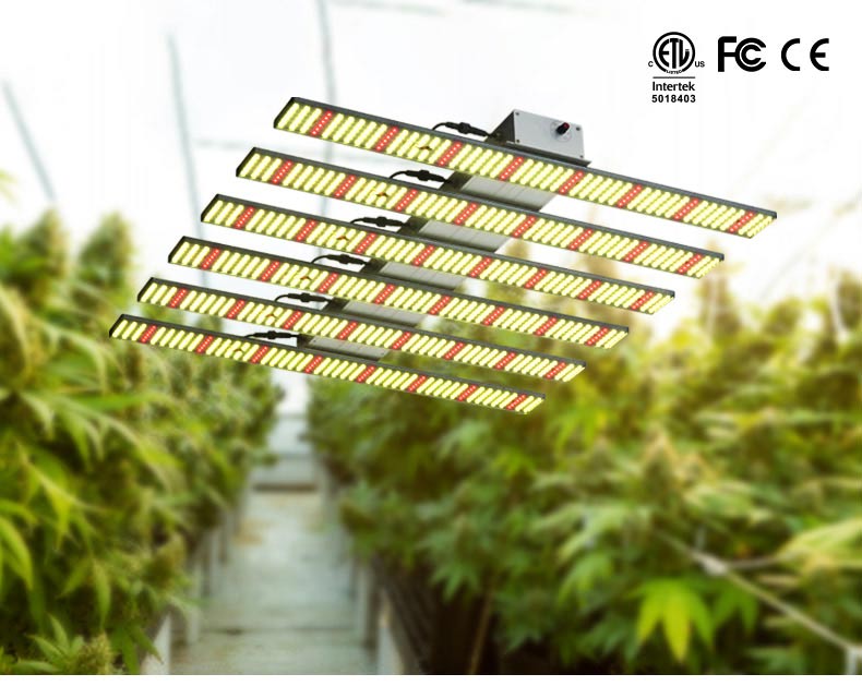 大麻LED植物生长灯插图