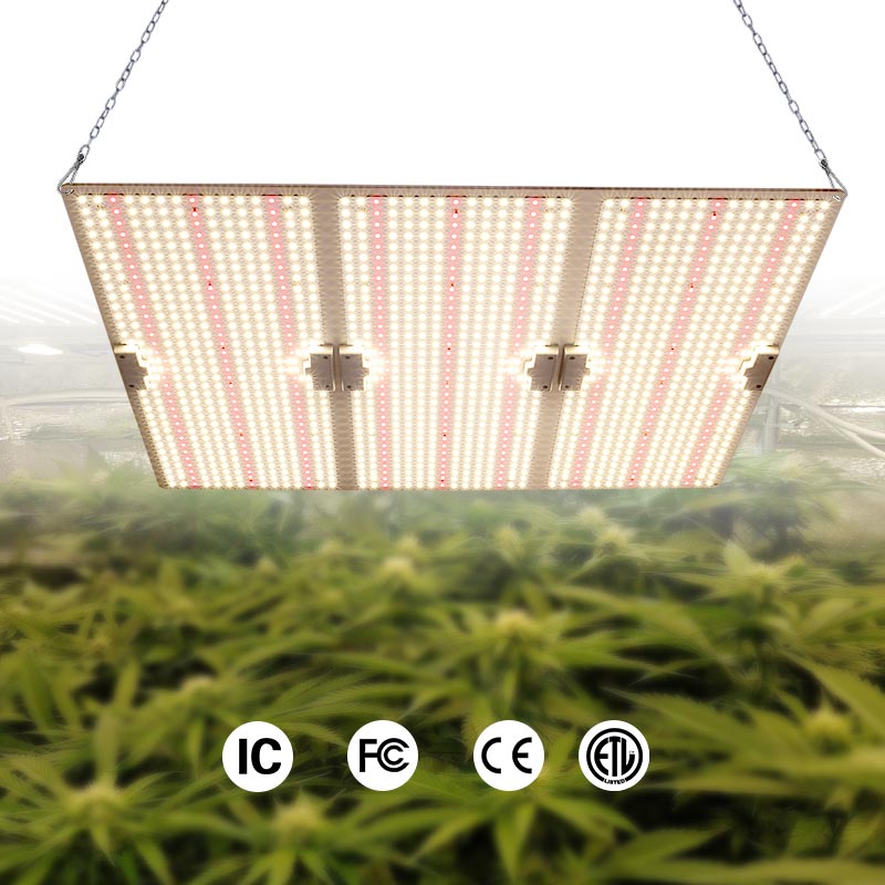 LED植物灯产业发展趋势插图