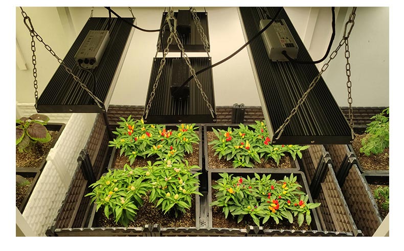 新款全光谱高光效生长植物补光灯插图9