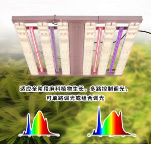 可以从哪些方面去评价LED植物生长灯？插图