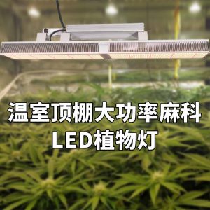 温室顶棚大功率麻科LED植物灯