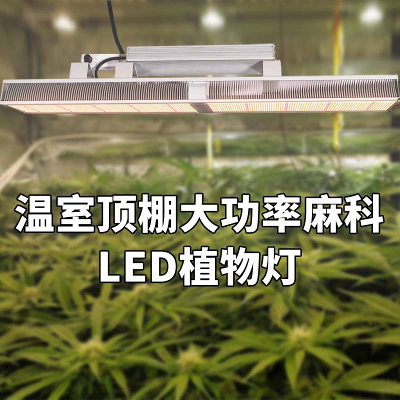 智能温室大棚植物补光灯