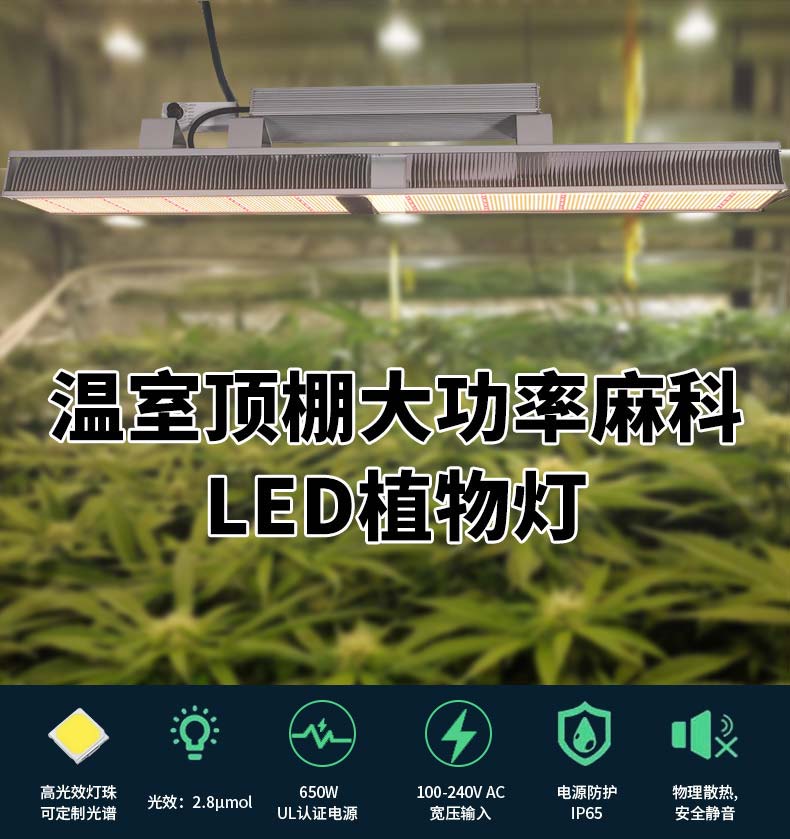 LED植物灯产业发展趋势插图2
