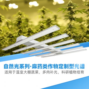 大型农场种植适用T型大功率植物补光灯