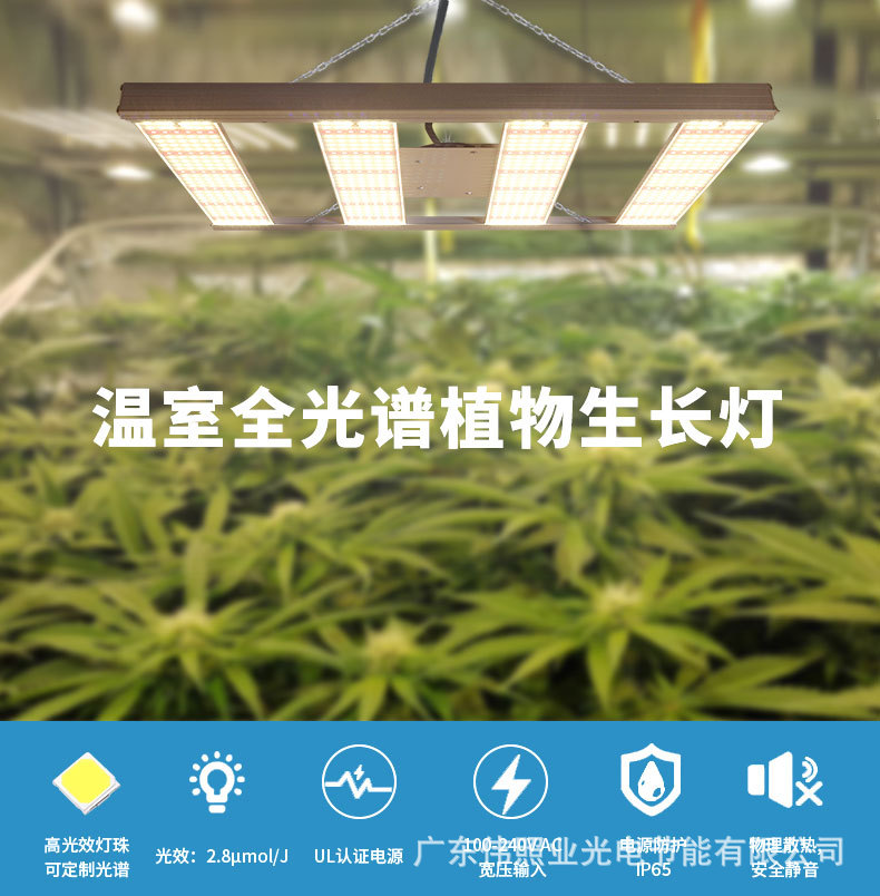 外贸全光谱led grow light种植灯