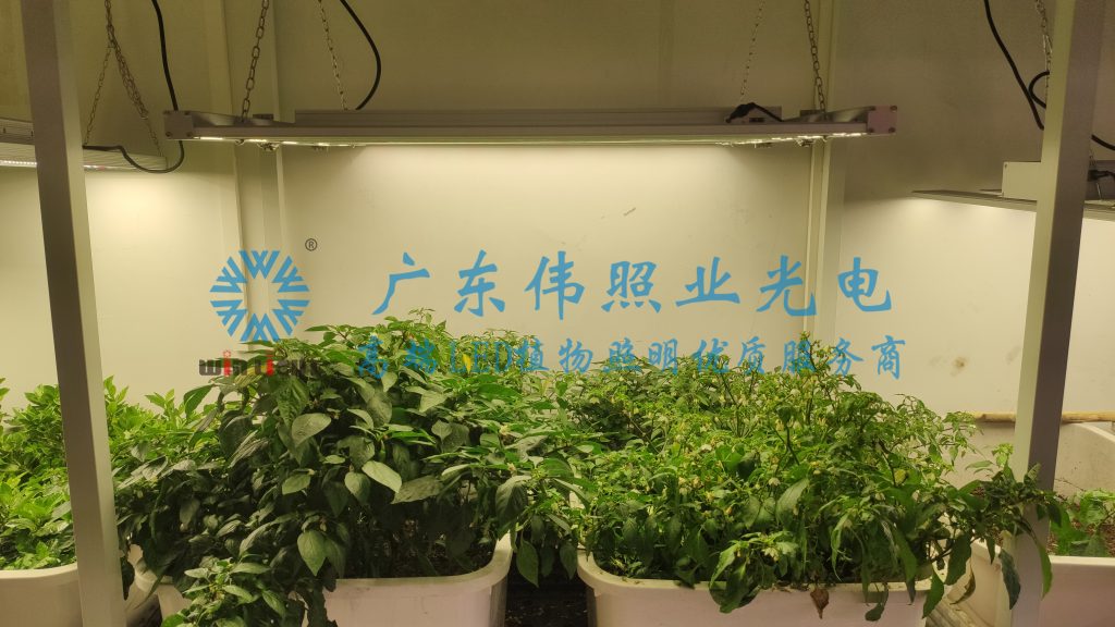 植物种植补光系统