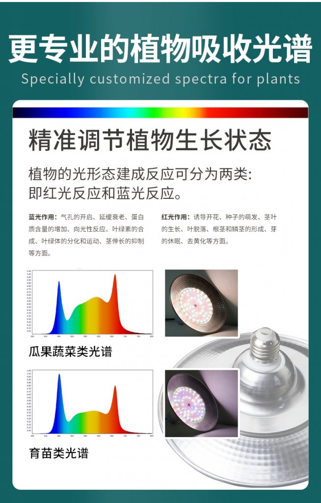 E27草莓植物生长灯育苗灯蝶碟形型灯全光谱大棚药材石斛蓝莓补光插图3