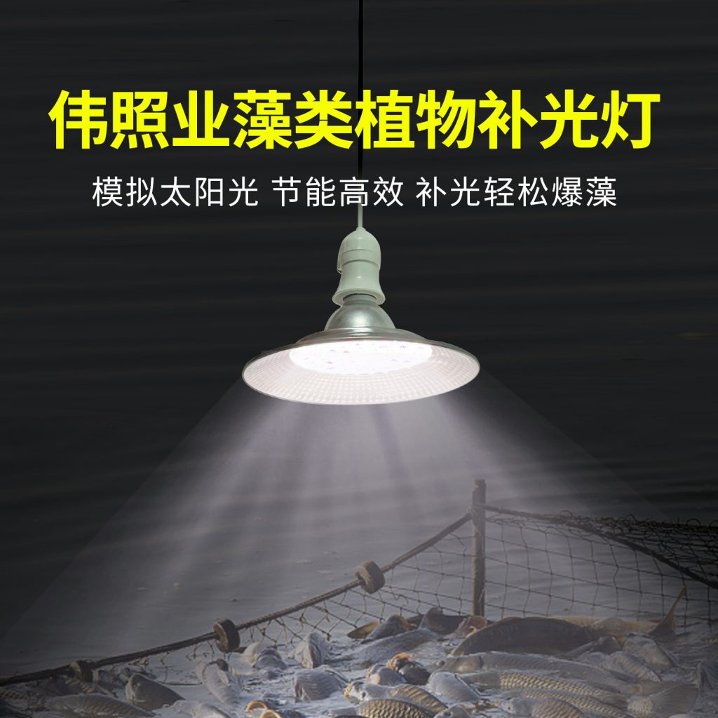 藻类绿藻植物补光灯 鱼塘虾塘养殖爆藻灯苔藓珊瑚鱼缸海藻灯插图