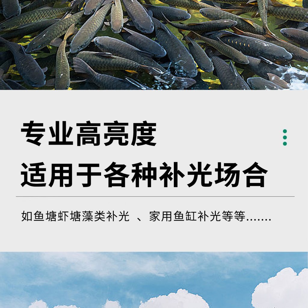 藻类绿藻植物补光灯 鱼塘虾塘养殖爆藻灯苔藓珊瑚鱼缸海藻灯插图3