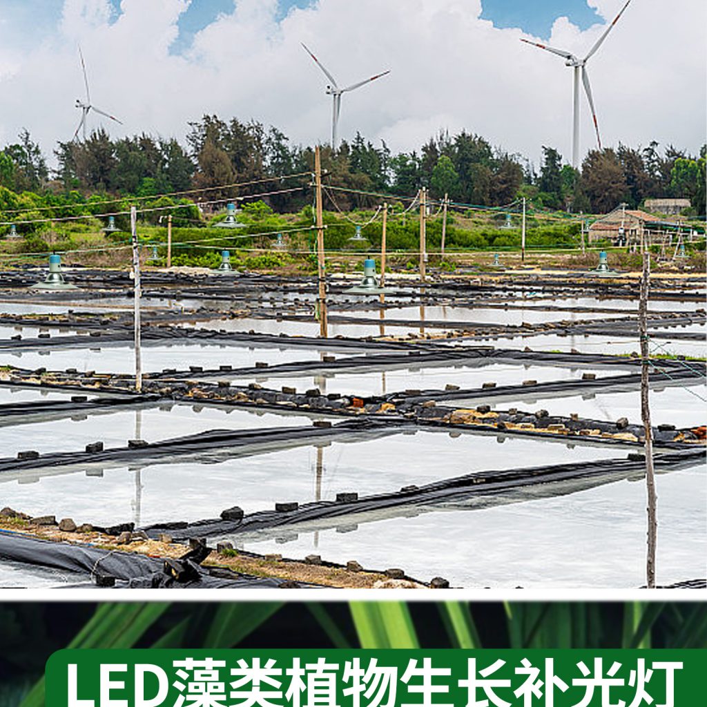 藻类绿藻植物补光灯 鱼塘虾塘养殖爆藻灯苔藓珊瑚鱼缸海藻灯插图4