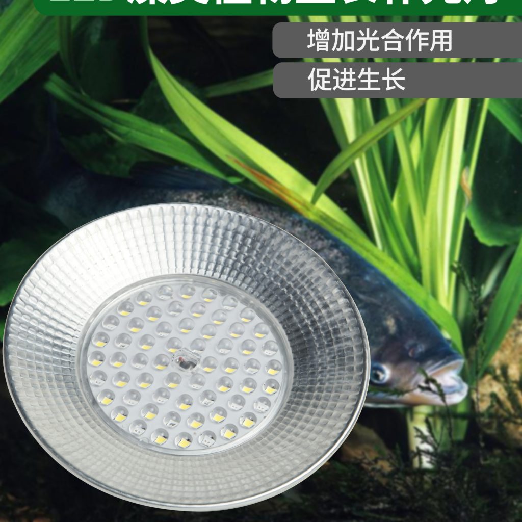 藻类绿藻植物补光灯 鱼塘虾塘养殖爆藻灯苔藓珊瑚鱼缸海藻灯插图5