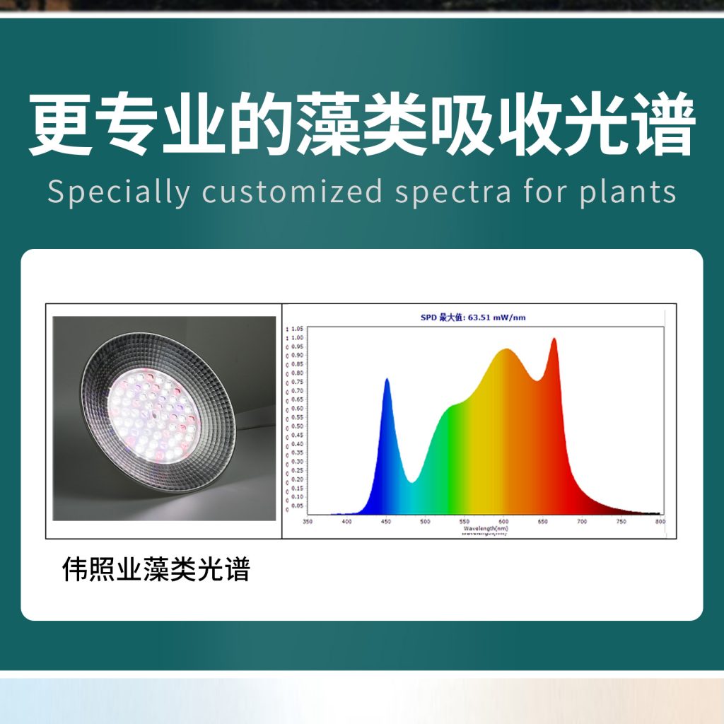 藻类绿藻植物补光灯 鱼塘虾塘养殖爆藻灯苔藓珊瑚鱼缸海藻灯插图6