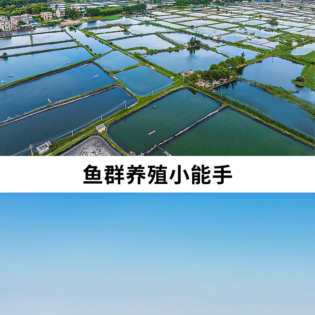 藻类绿藻植物补光灯 鱼塘虾塘养殖爆藻灯苔藓珊瑚鱼缸海藻灯插图9