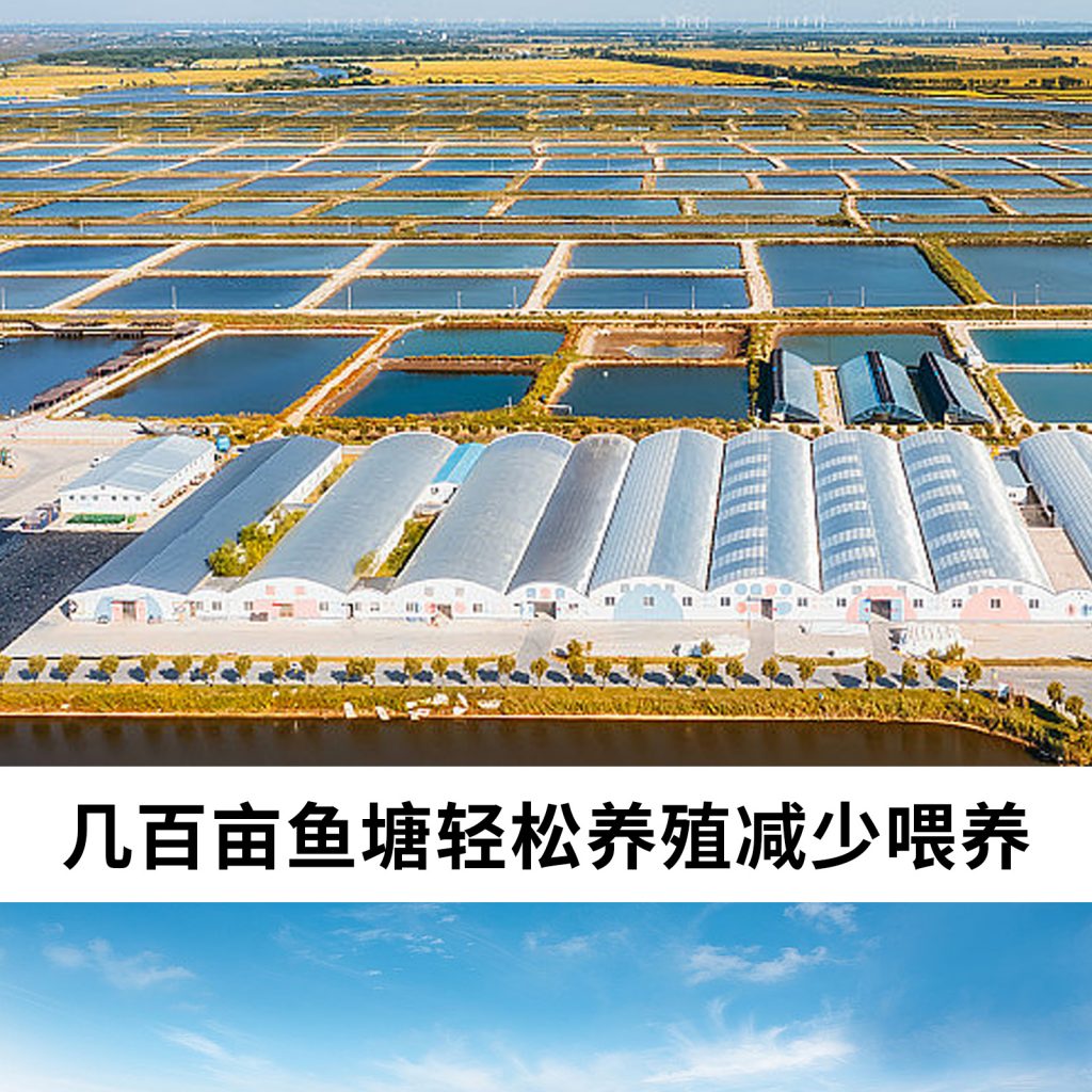 藻类绿藻植物补光灯 鱼塘虾塘养殖爆藻灯苔藓珊瑚鱼缸海藻灯插图10